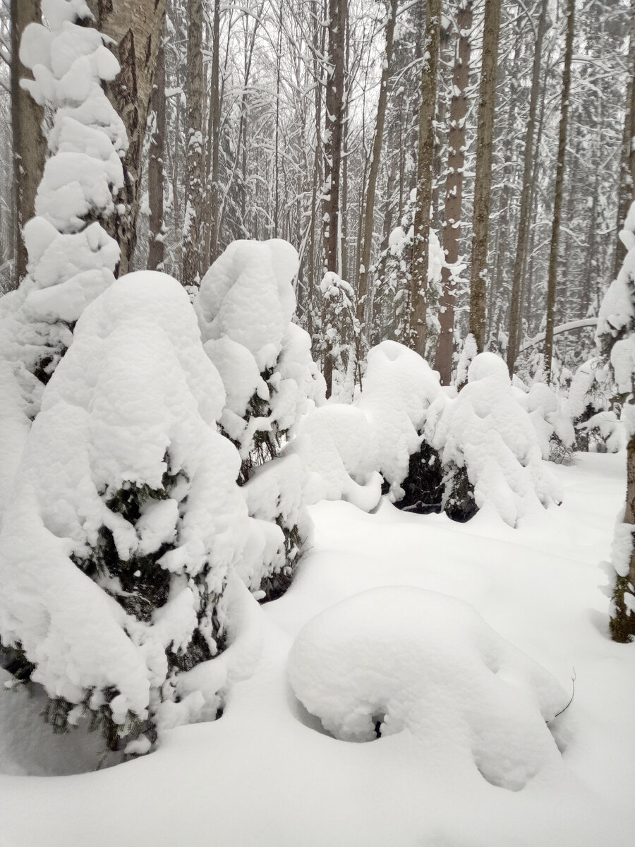 Он не распадается на мириады
отдельных ароматов, как весной,
или летом, когда несет свой
индивидуальный аромат каждый,
вновь распустившийся, цветок,
каждый лист и каждая травинка.