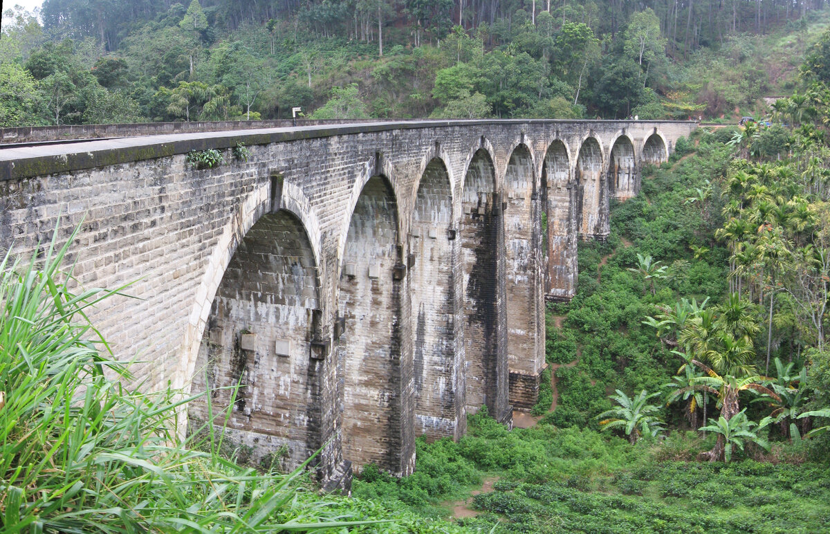 Галерея из 30 фотографий