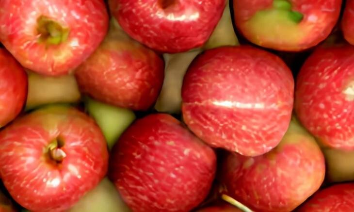    Брюссель объявил о плане продвижения свежей европейской сельхозпродукции в 2023 году