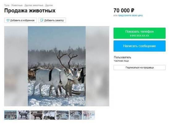     Кадр веб-страницы "Авито".