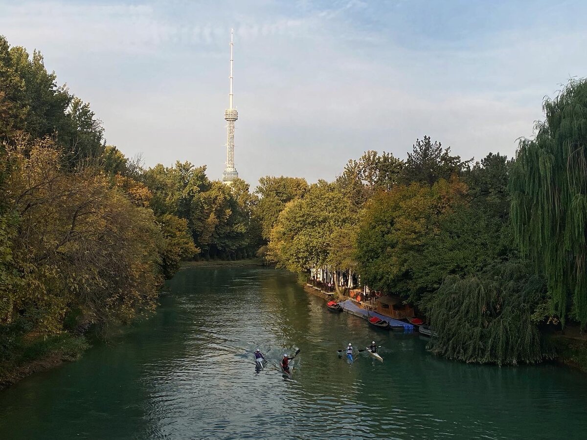 Район Минор