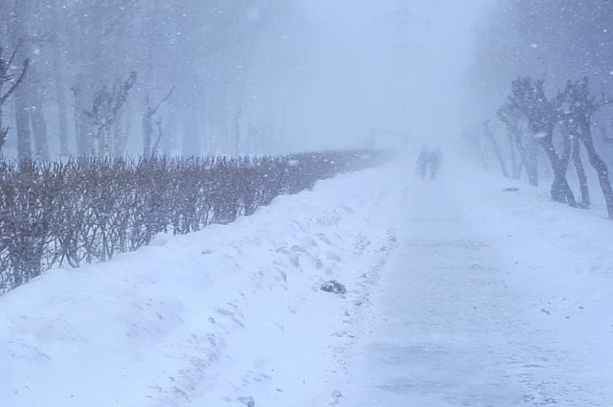    В Тюмени 3 января прогнозируют метель и снежные заносы на дорогах