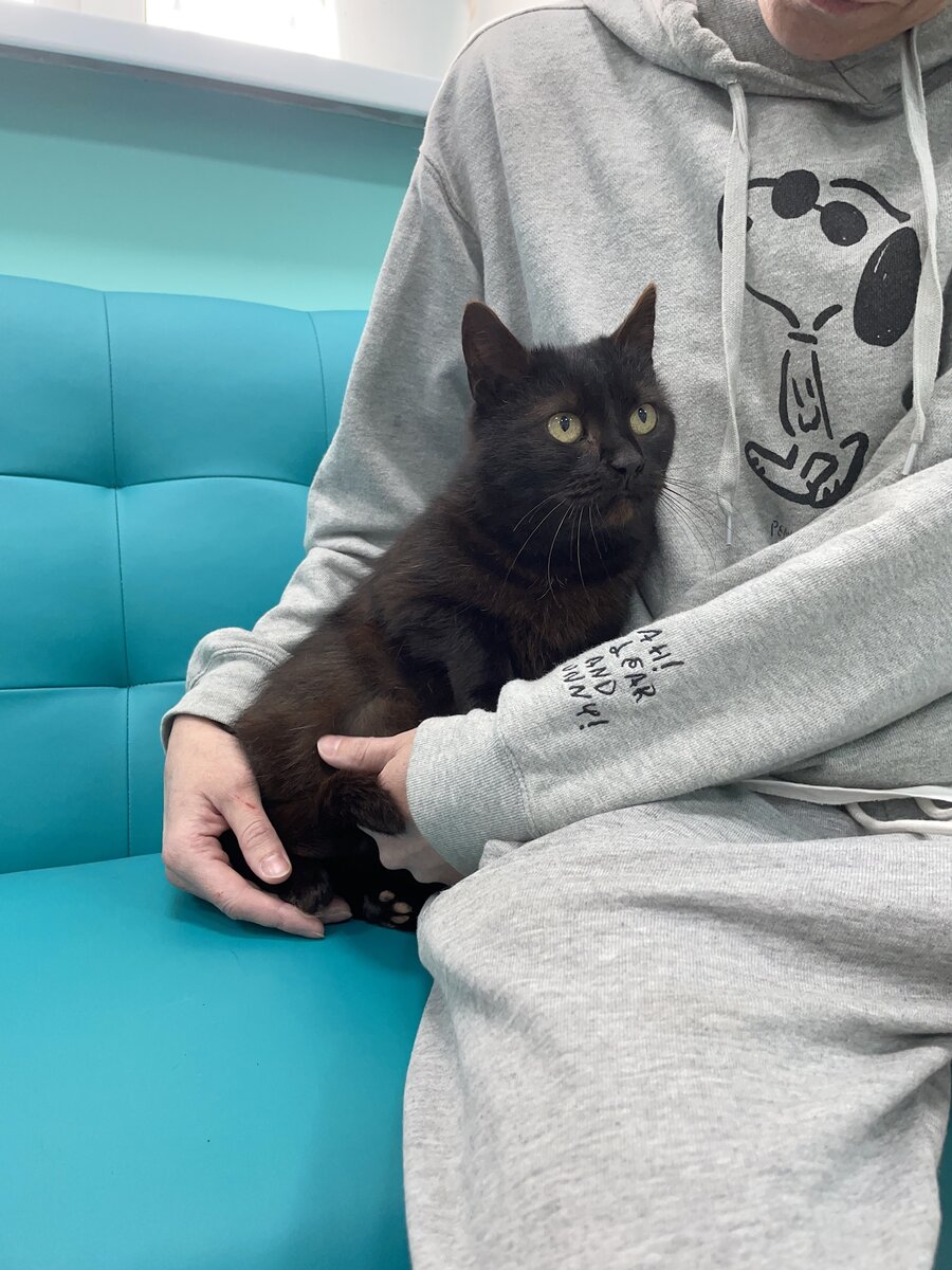 Мини на приеме у врача, сразу после изъятия ее из профессии 🤣