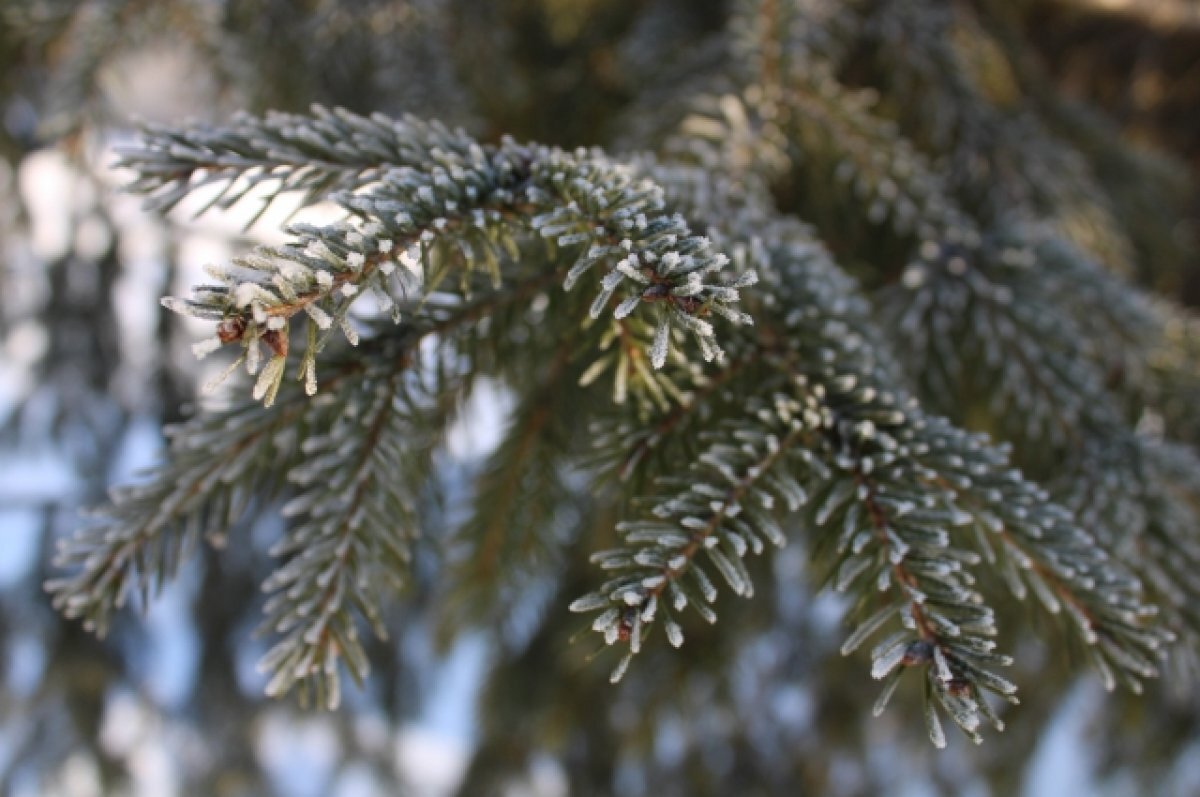    В Самарской области с 5 января 2023 года начнутся сильные морозы