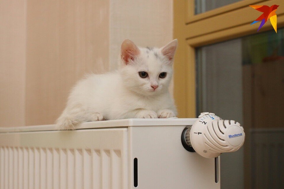     Во время отопительного сезона влажность воздуха снижается Сергей ГРАЧЕВ