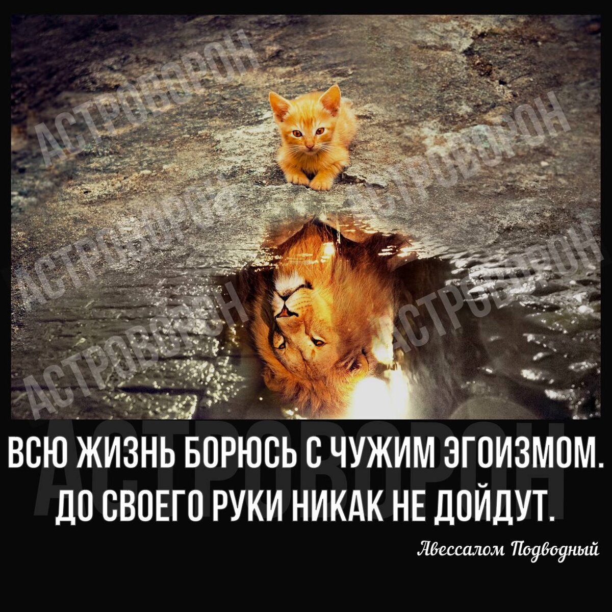 Коллаж автора канала АстроВорон.МистерииЗодиака