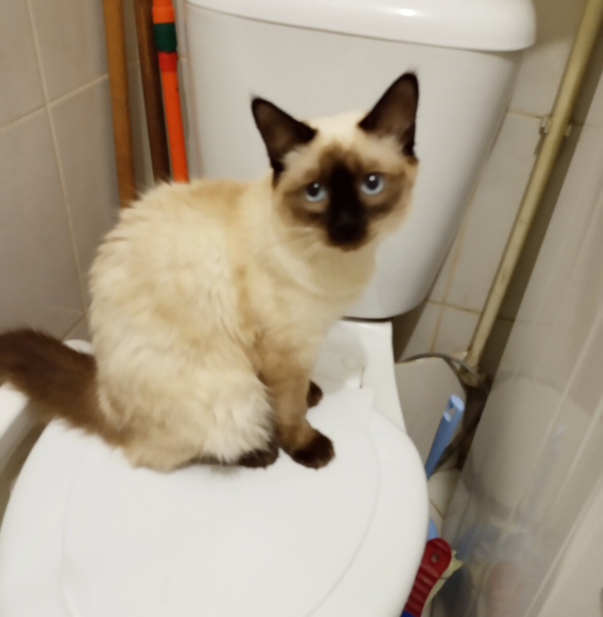 Фото автора.