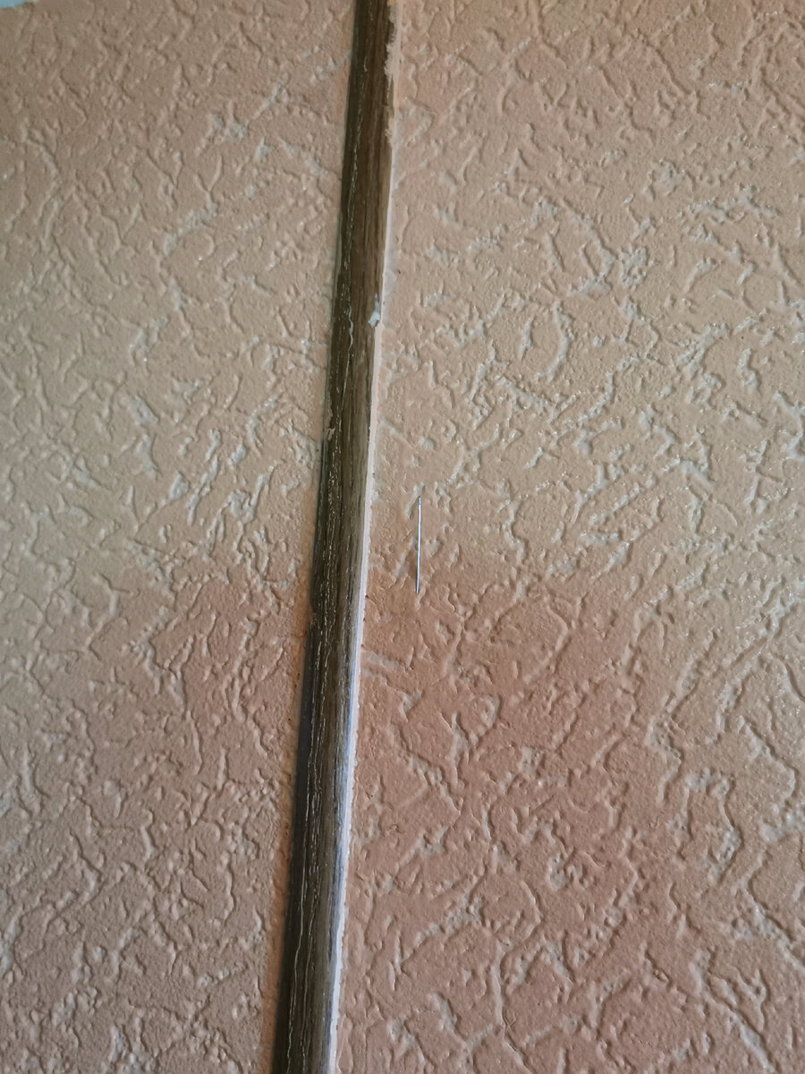 Вот она - красавица... 