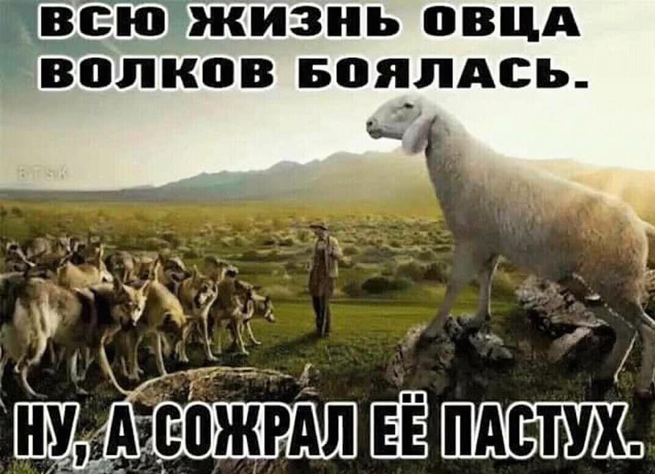 Фото из открытого доступа в интернете. Говорят, просто грузинская пословица. Листайте.