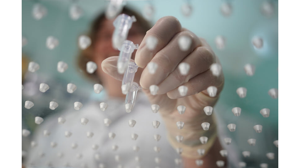    Фото: Эмин Джафаров/Коммерсантъ