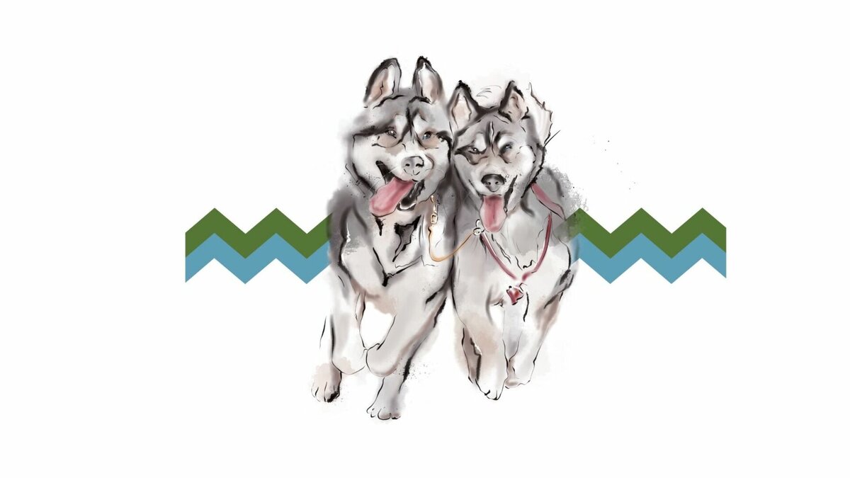     Каюры будут бороться за приз «Самая быстрая собака Амурии». Победитель получит денежную премию в размере 20 тысяч рублей.