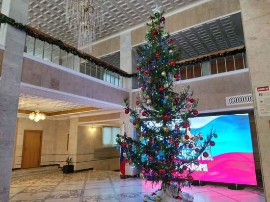     Фото пресс-службы правительства Омской области