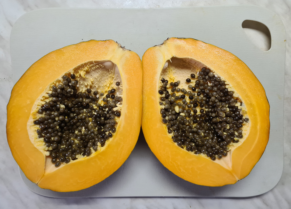 Папайя, фото автора