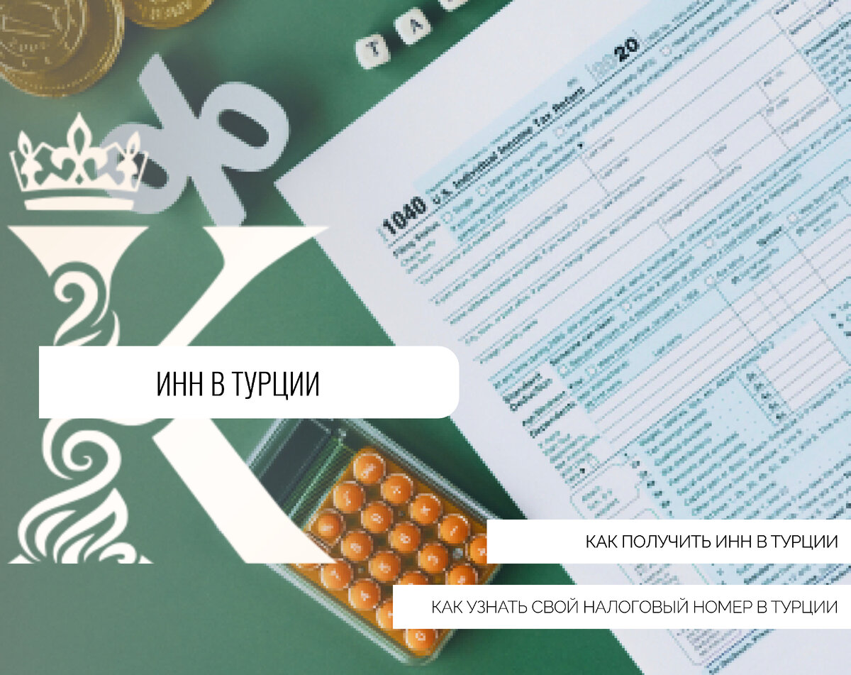 Как получить ИНН в Турции