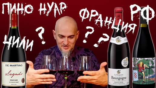 Какое вино лучше? Чили, Франция, РФ? Пино Нуар слепое сравнение