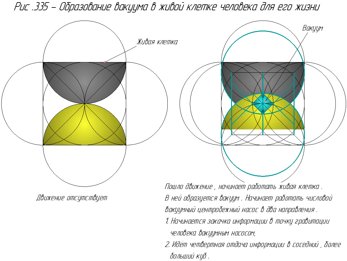 Образование вакуума в живой клетке.