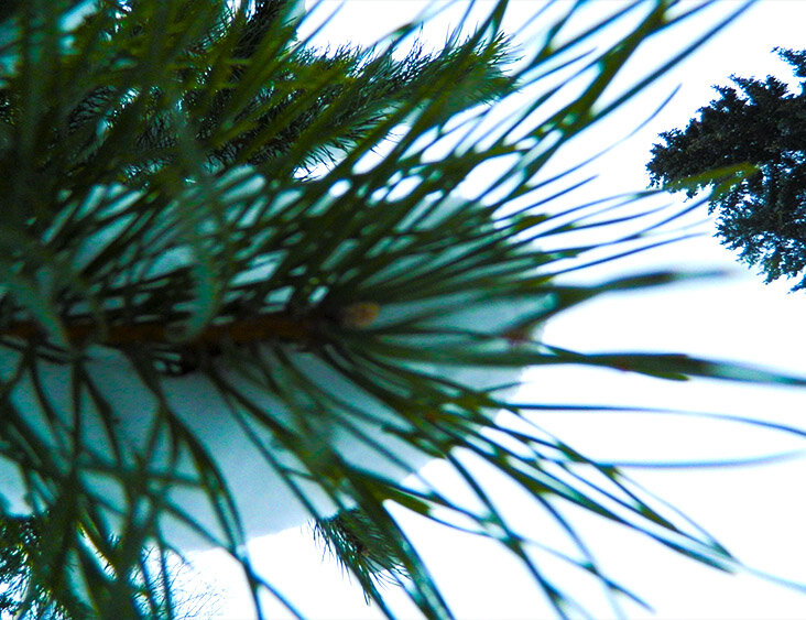 фото автора канала 