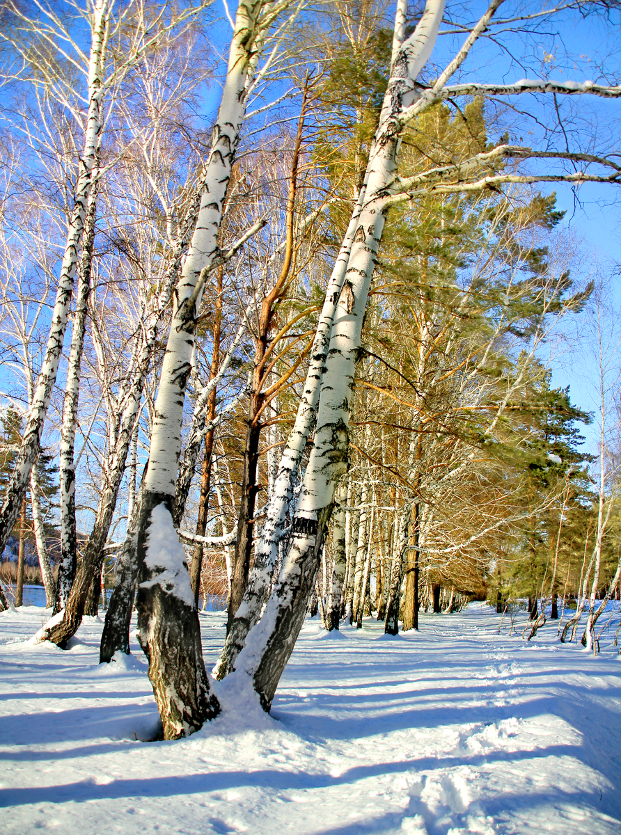 Фотография, стихотворение Василия Глуцкого