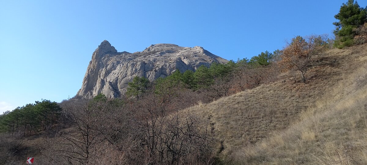 Гора носорог
