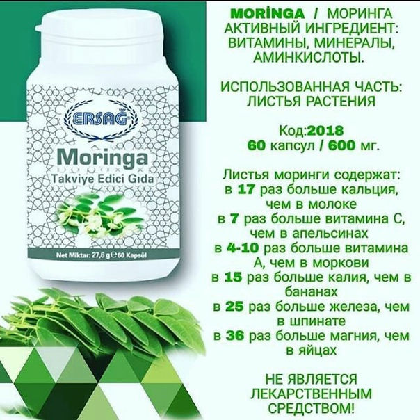 Польза чая Моринга