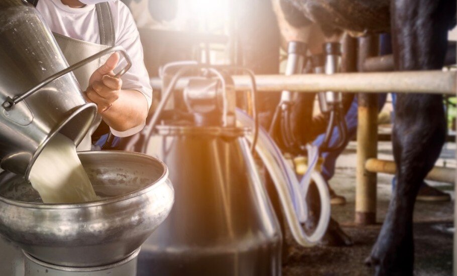 Организация торгов на сырое молоко сделает рынок стабильнее