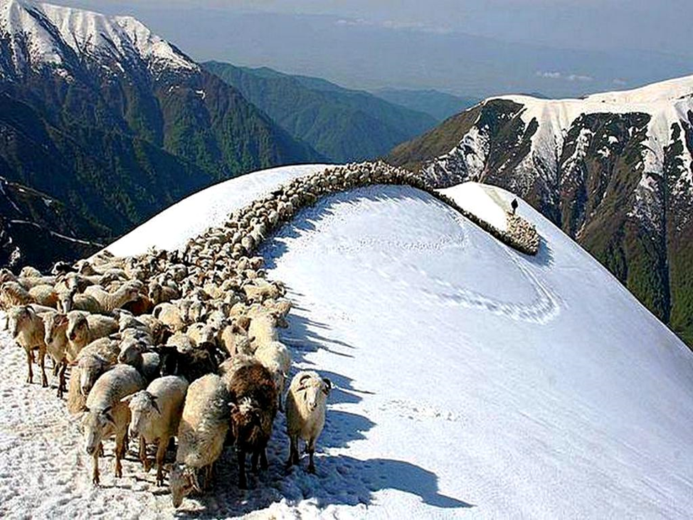 Снег в горах Дагестана