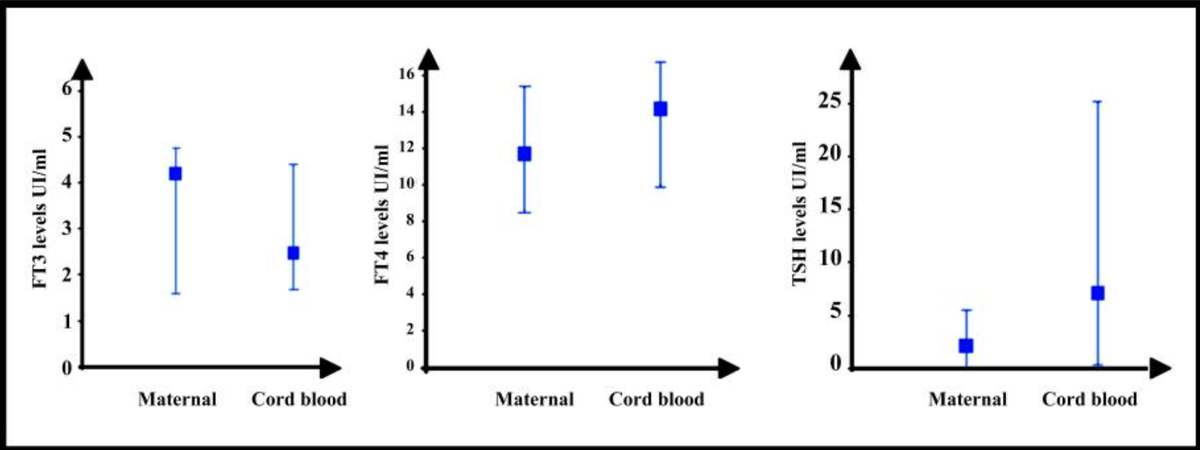 Средние уровни FT3, FT4 и ТТГ между материнской и пуповинной кровью при родах. Из Seror J, Amand G, Guibourdenche J, Ceccaldi PF, Luton D. Anti-TPO antibodies diffusion through the placental barrier during pregnancy. PLoS One. 2014 Jan 31;9(1):e84647. doi: 10.1371/journal.pone.0084647. Seror J, Amand G, Guibourdenche J, Ceccaldi PF, Luton D. Anti-TPO antibodies diffusion through the placental barrier during pregnancy. PLoS One. 2014 Jan 31;9(1):e84647. doi: 10.1371/journal.pone.0084647.