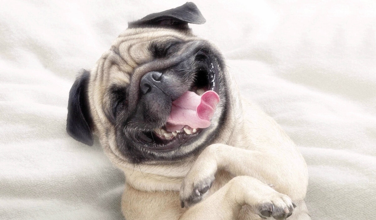 Замечание! «Группа статей «100 проверенных практик Счастья» является кратким пересказом книги группы авторов (Jolanta Burke, Pádraic J. Dunne, Trudy Meehan, Ciaran A. O’Boyle, Christian van Nieuwerburgh) - «100+ Research-Based Positive Psychology and Lifestyle Medicine Tools to Enhance Your Wellbeing», изданной в начале 2023 г. Авторы проделали огромную работу по анализу научных исследований различных универсальных, устойчивых факторов, вносящих вклад в улучшение нашей жизни, и обобщили их в виде набора более чем сотни конкретных инструментов. Это очень короткий пересказ текста, который является научной штудией и содержит все необходимые ссылки на подтверждающие изложенного в ней научными исследованиями».