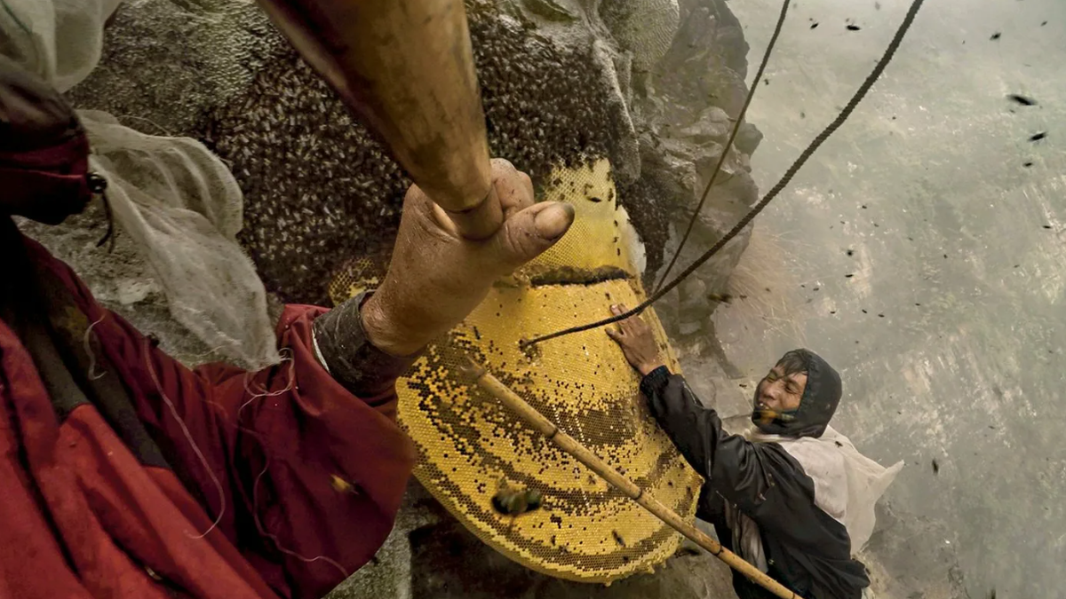 Моя прелесть!