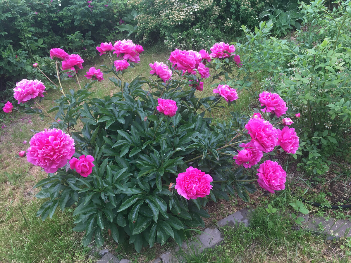 Что в имени твоем..