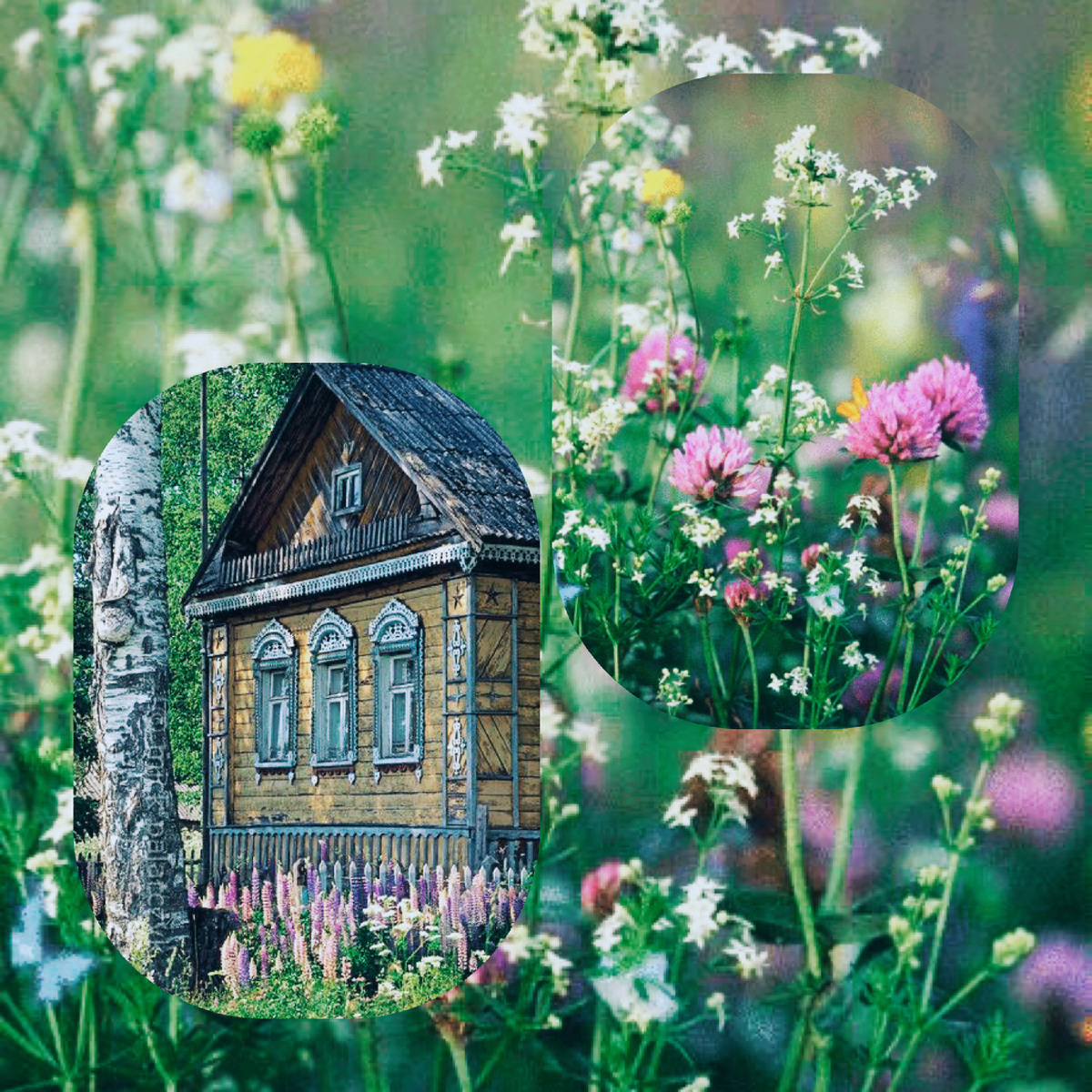 Фото из интернета в обработке автора 