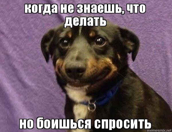 переписка с парнем. прикольный ответ на привет. что делаешь работаю а после работы что. после что делать что спросить. как ответить что мы работаем со спонсорами а не с инфоспонсорами.