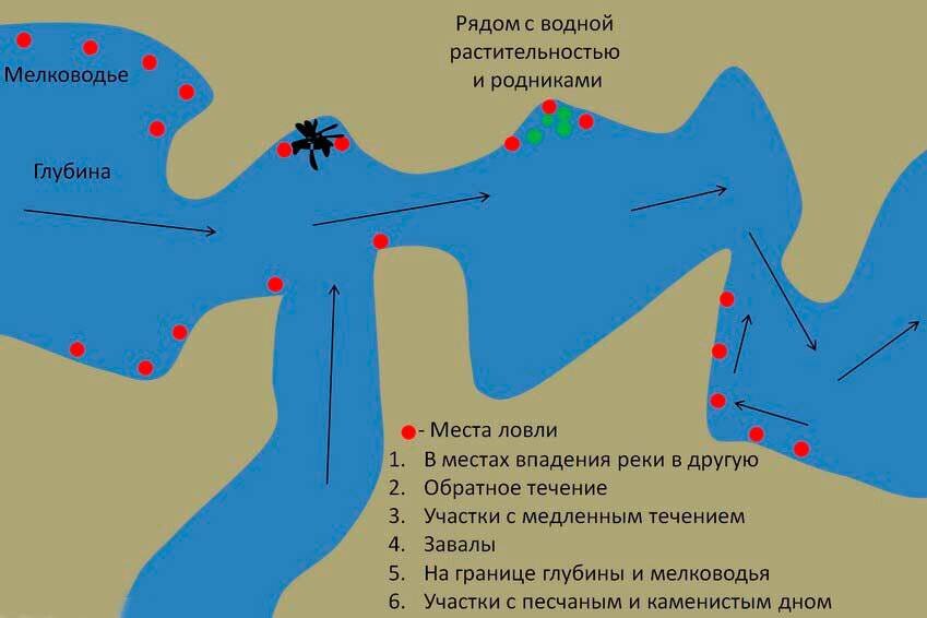 Фото с сайта: https://likewot.ru