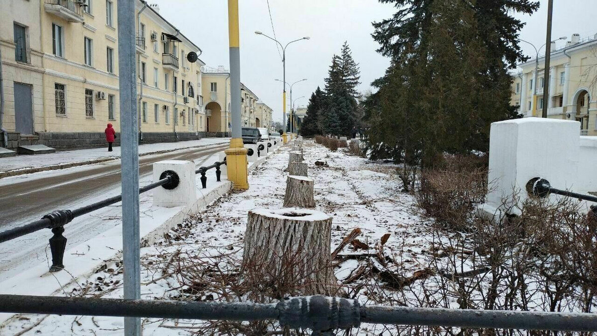     Жители города Волжского Волгоградской области в суде спросят с городской администрации, зачем одновременно вырубили все тополя на улице Фонтанной. На эти действия местные власти пошли почти сразу после подачи коллективного иска граждан.