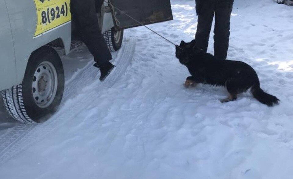     Фото: пресс-служба мэрии Якутска