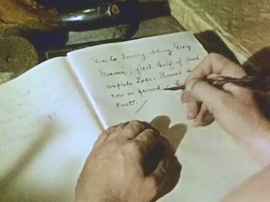     Дневник часто ведут и литературные герои, например Робинзон Крузо. Кадр из фильма «Робинзон Крузо»