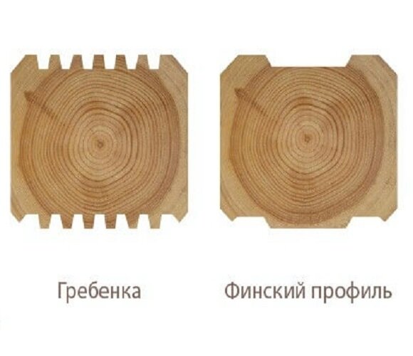 Профили и расположение годовых колец.