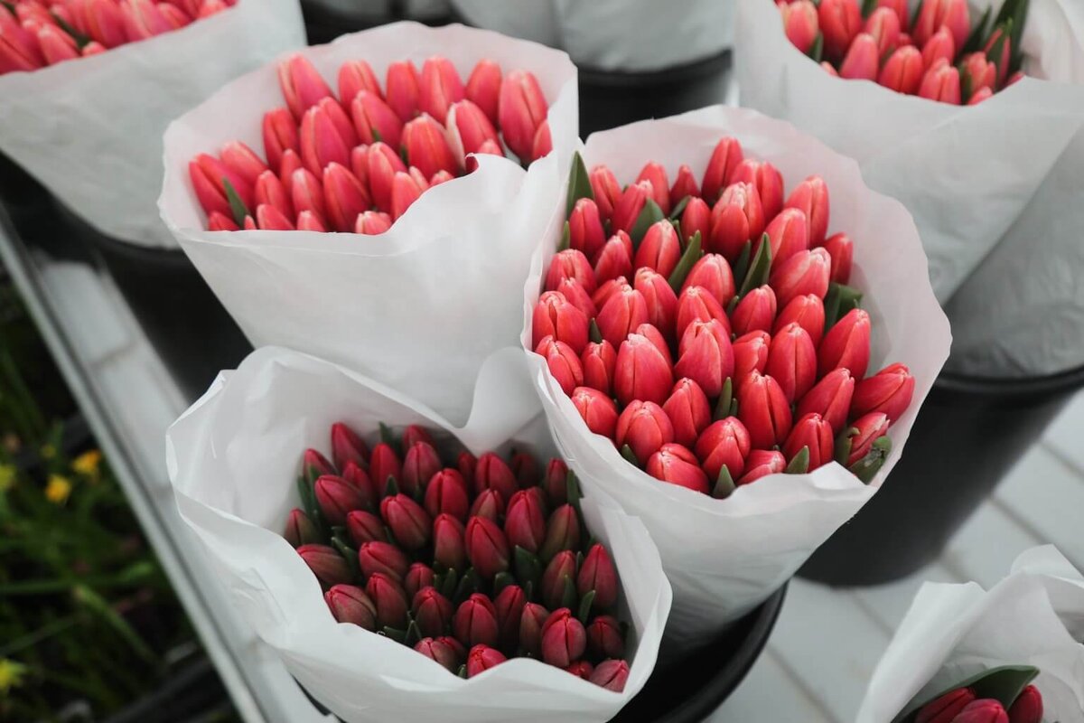    Артур Новосильцев / АГН Москва