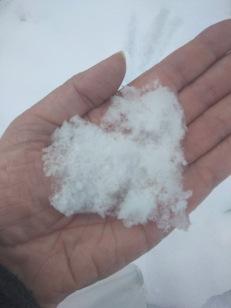 СНЕЖНОЕ И НЕЖНОЕ СЕРДЦЕ