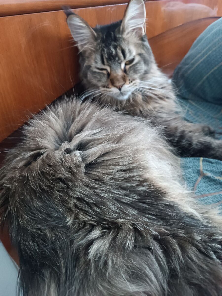 Урсула на месте лечения головной боли