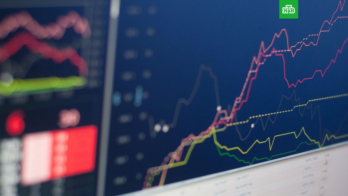    Фото: Nicholas Cappello / unsplash.com