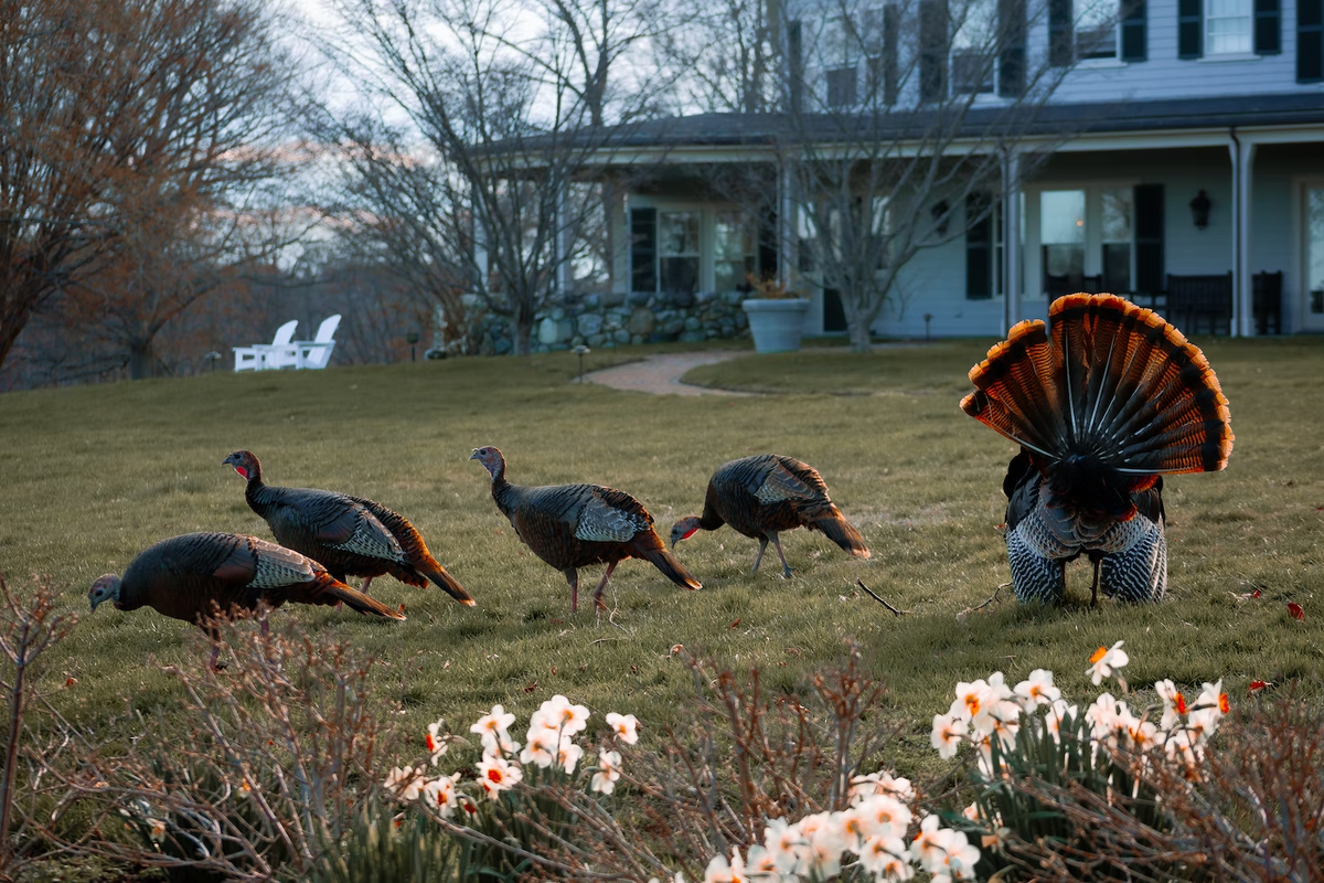 Chris Henry/ unsplash.com 