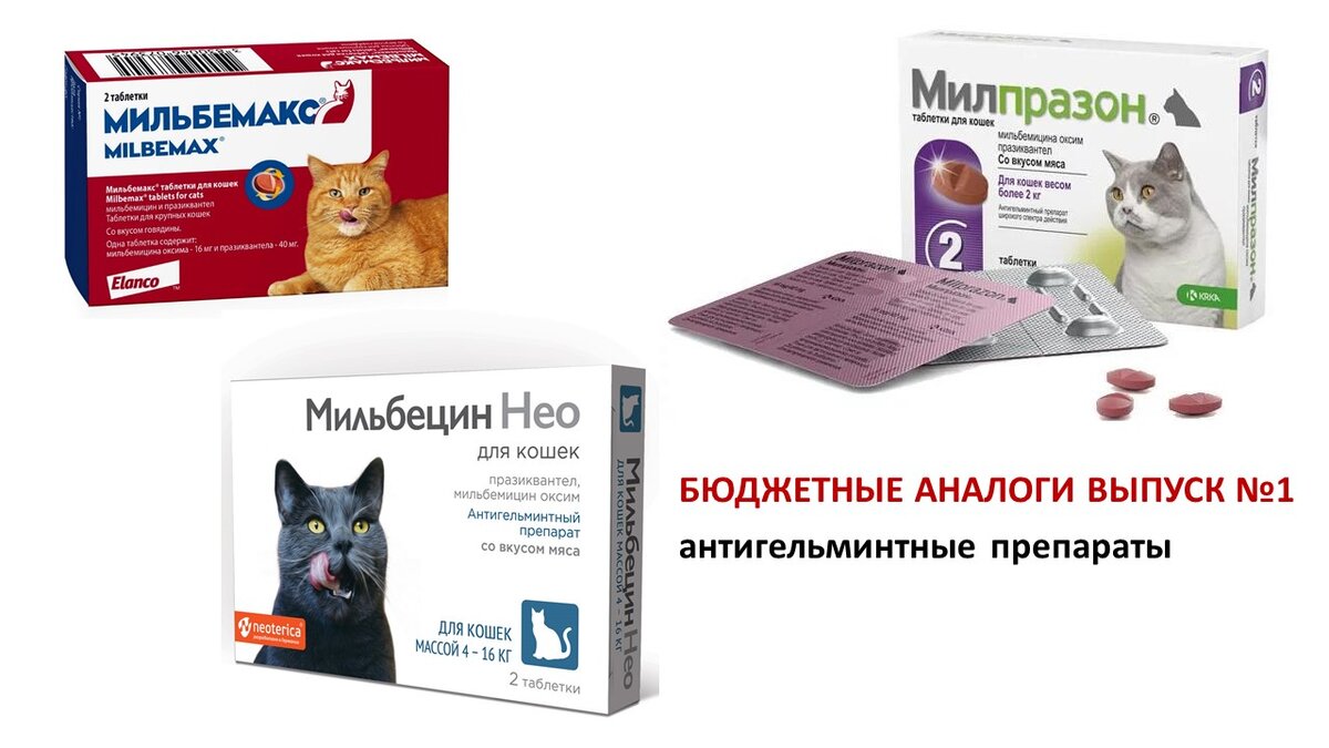 Мильбецин для собак инструкция. Мильбемакс или Милпразон. Гельминтные препараты. Каниквантел для кошек. Фенантел от гельминтов для кошек.