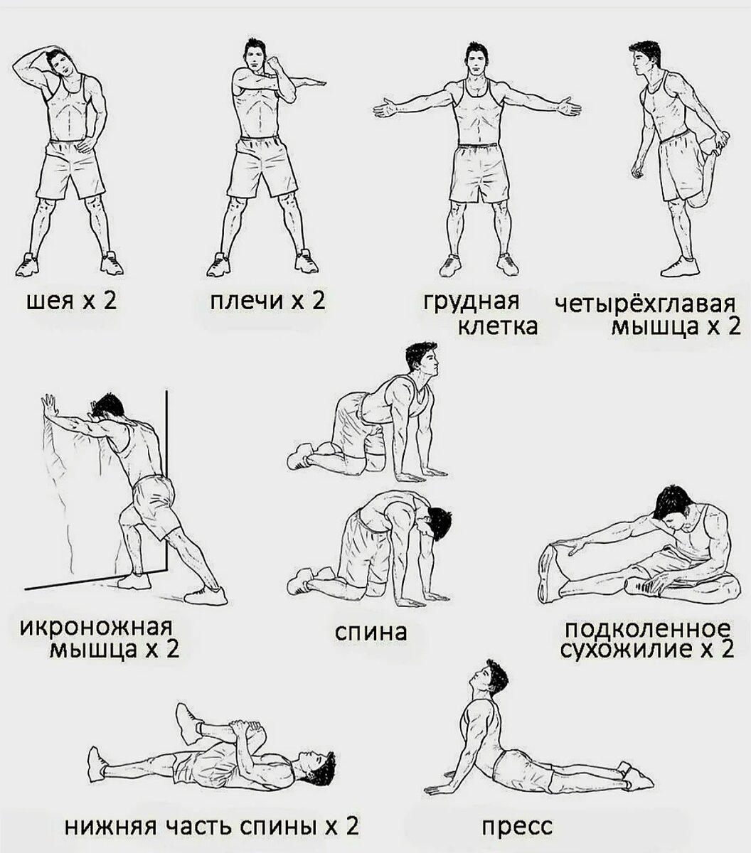 Комплекс любых упражнений. Комплекс упражнений на растяжку мышц перед силовой тренировкой. Растяжка заминка после силовой тренировки. Комплекс растяжки после силовой тренировки. Упражнения для заминки после растяжки.