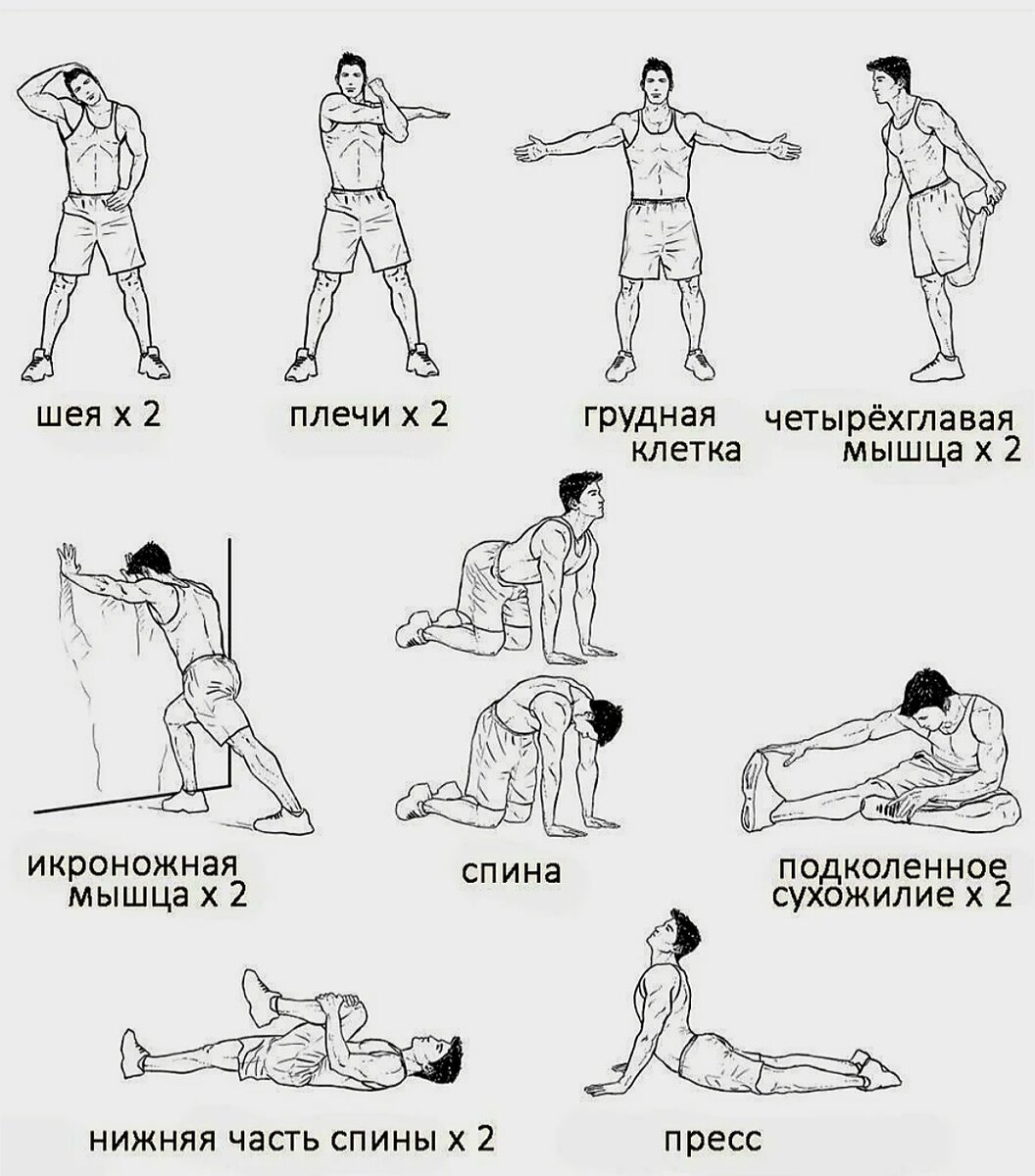 Разминка упражнения. Комплекс упражнений на растяжку мышц перед силовой тренировкой. Растяжка перед тренировкой всех мышц для мужчин. Упражнения для заминки после силовой тренировки. Растяжка заминка после силовой тренировки.