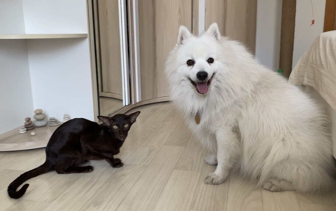 Йолли ❤️ Азарни