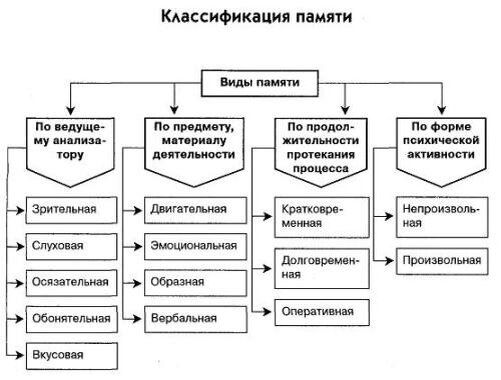 Один из вариантов классификации памяти в психологи.