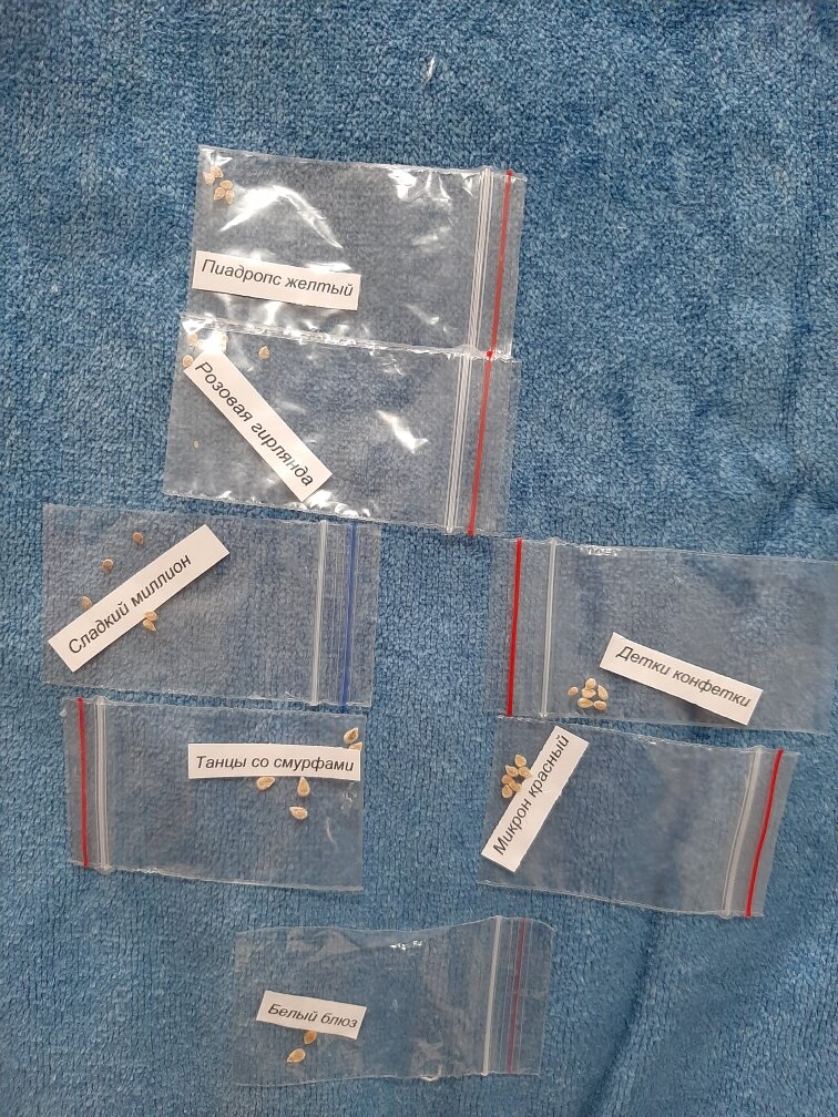 Снова какие-то хитрые и элитные томаты мне подвезли