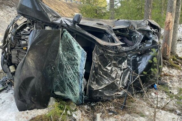    Фото: ГУ МВД по Петербургу