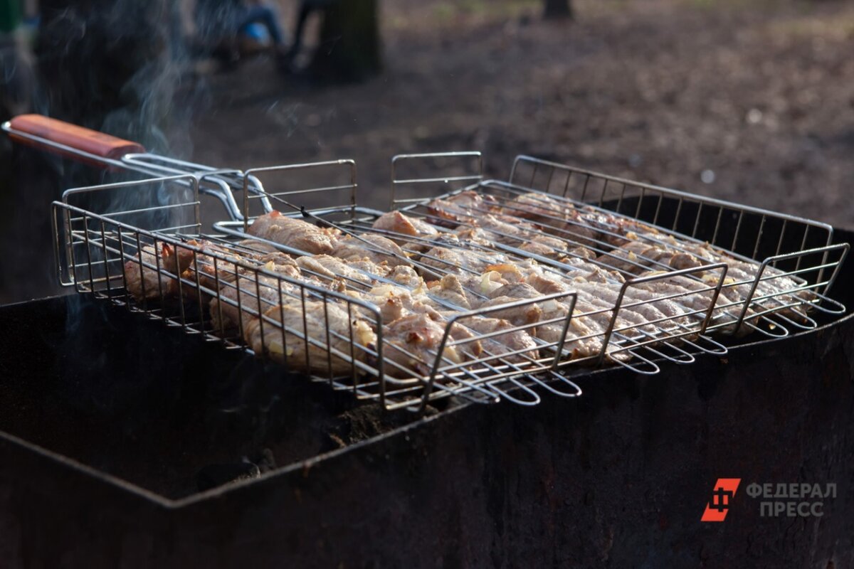 Приготовление шашлыков допускается только в безветренную погоду.  Фото: Фото: ФедералПресс / Елена Сычева